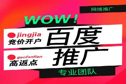 成功SEM主管的营销策略案例分享